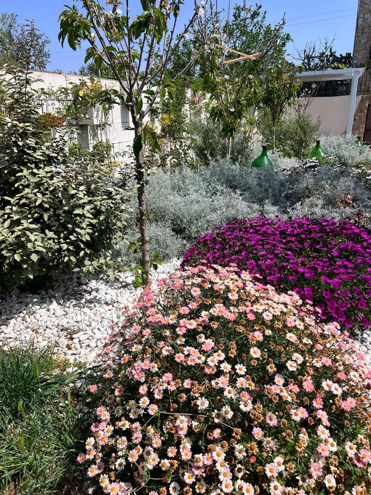 Villa Casa Vacanze Fiore Gallipoli Eksteriør bilde