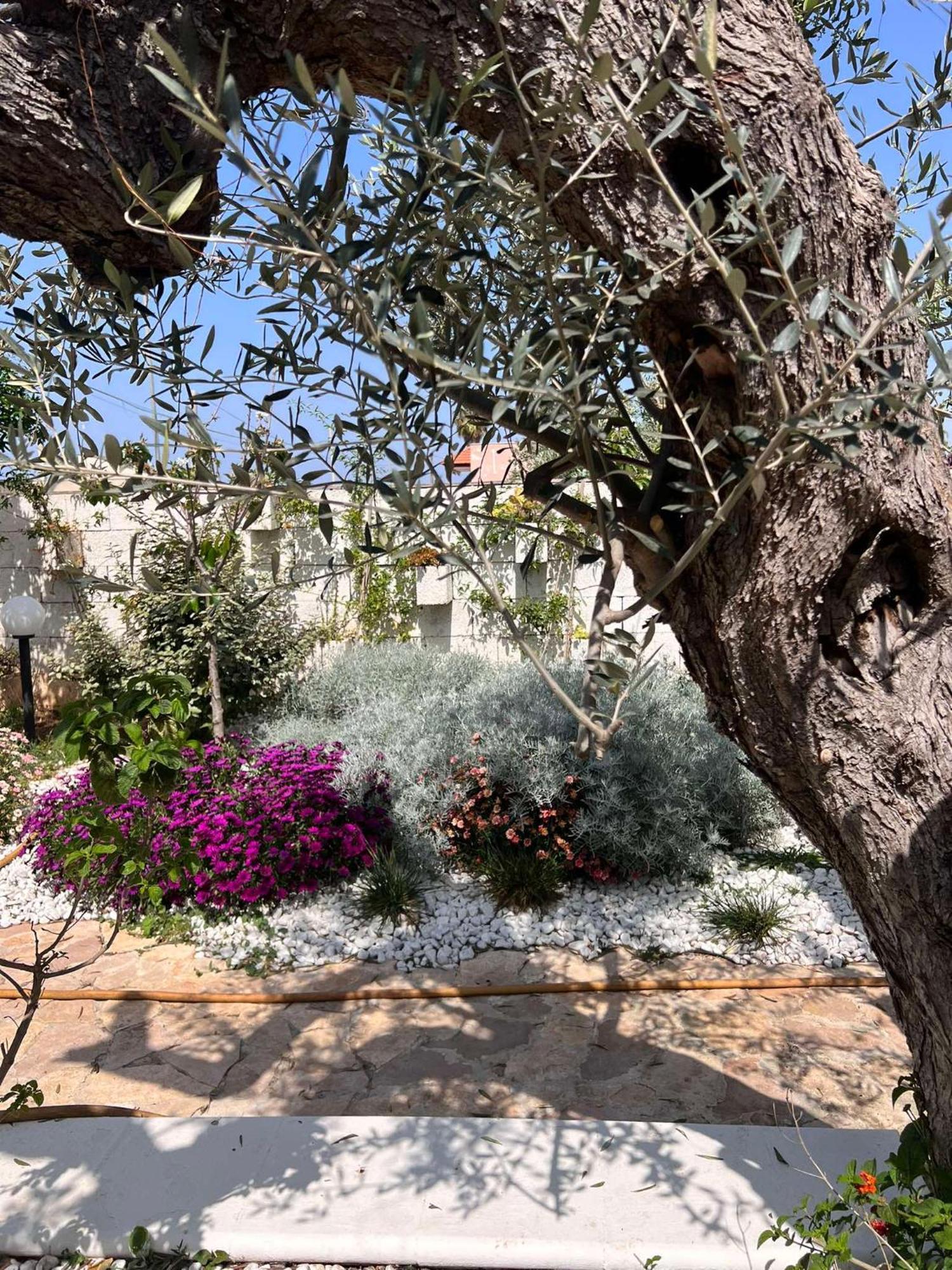 Villa Casa Vacanze Fiore Gallipoli Eksteriør bilde
