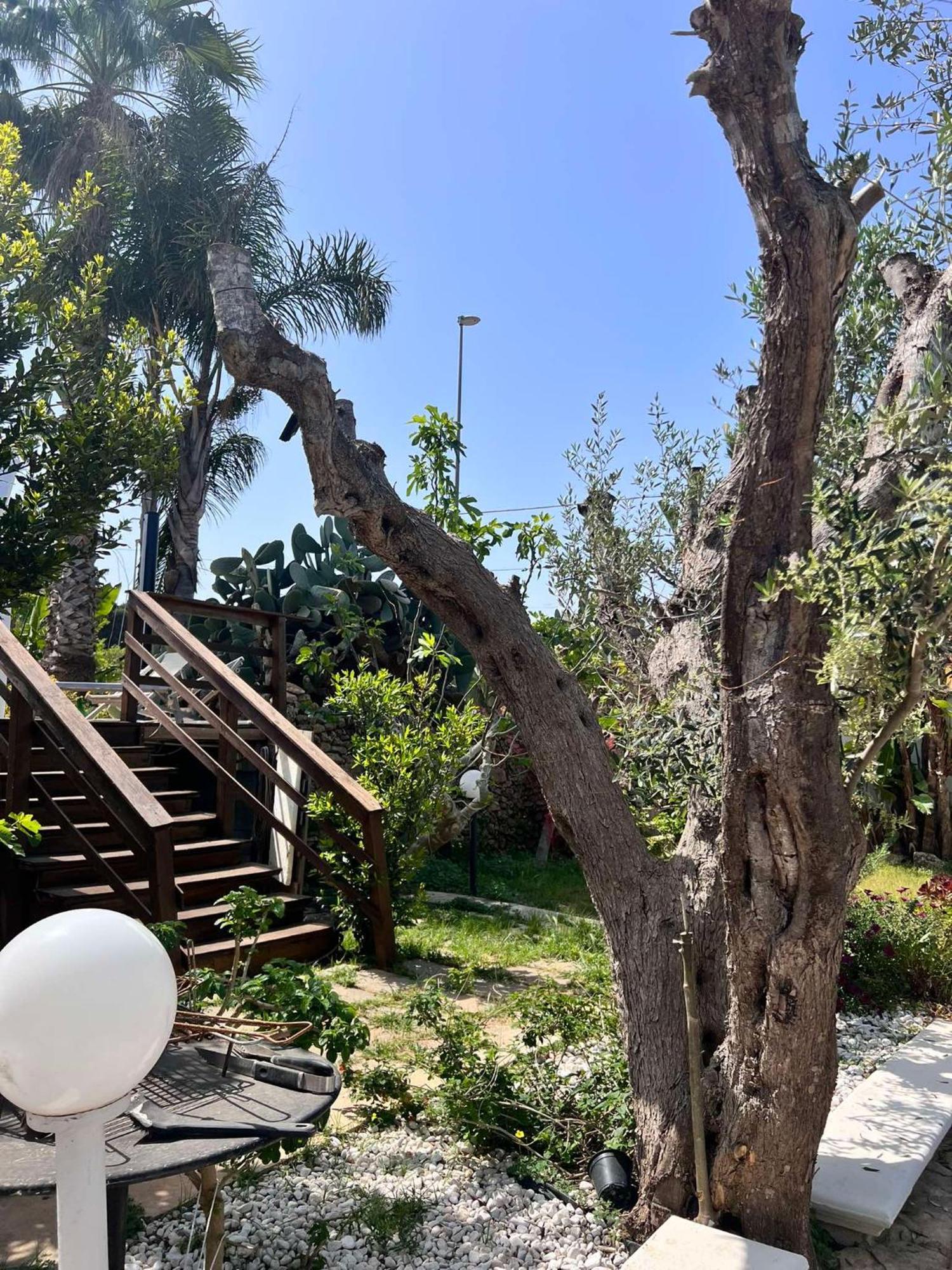 Villa Casa Vacanze Fiore Gallipoli Eksteriør bilde